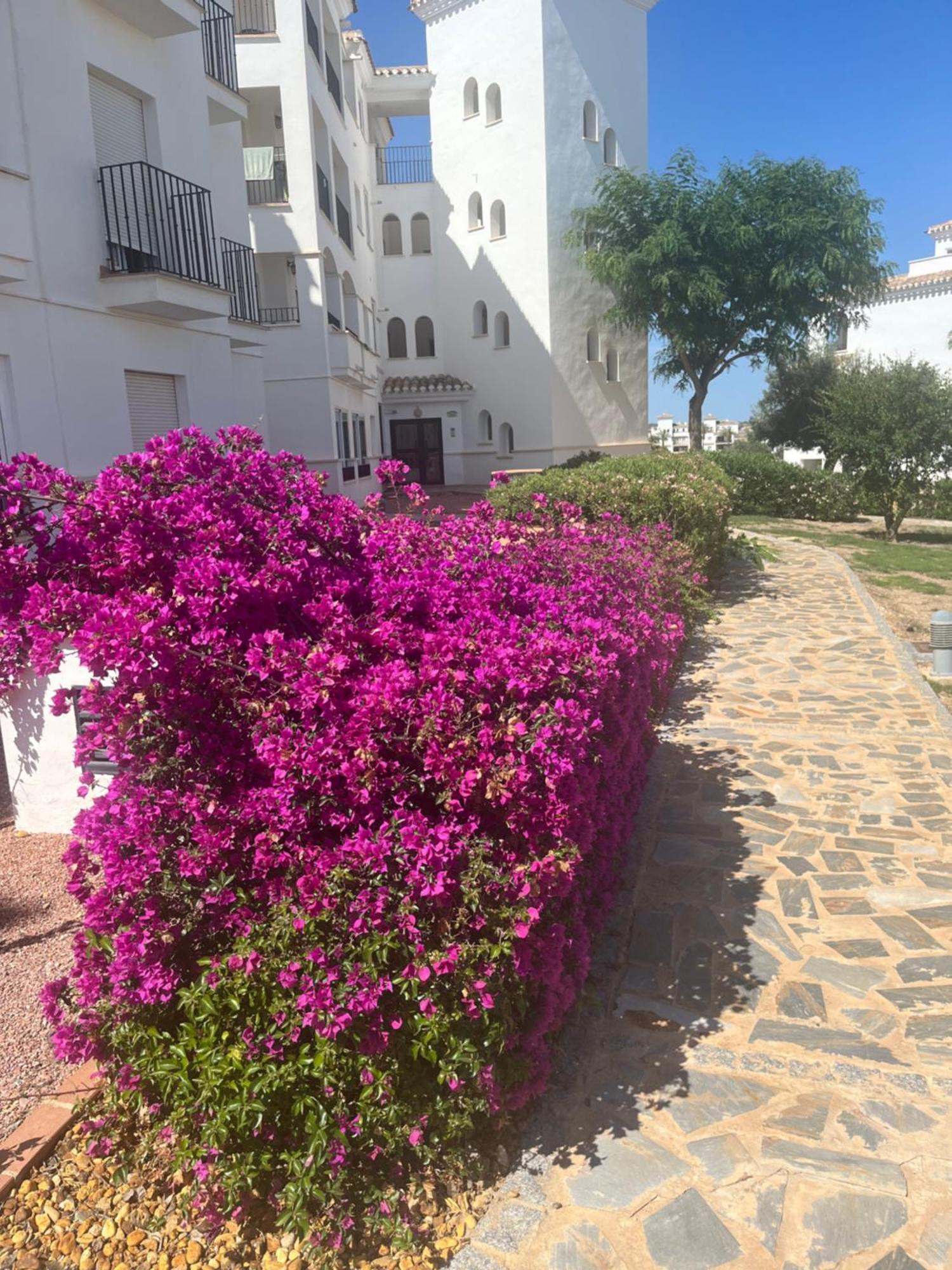 La Casa Rosita, Hacienda Riquelme Golf Resort Sucina Мурсия Экстерьер фото